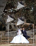 Antony & Joey 's Wedding